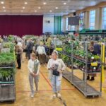 Festiwal Roślin w Przemyślu 7 - Polskie Radio Rzeszów Festiwal Roślin w Przemyślu - Polskie Radio Rzeszów