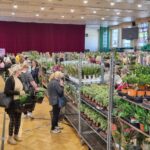 Festiwal Roślin w Przemyślu 11 - Polskie Radio Rzeszów Festiwal Roślin w Przemyślu - Polskie Radio Rzeszów