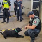 Międzynarodowe szkolenie celników 3 - Polskie Radio Rzeszów Międzynarodowe szkolenie celników - Polskie Radio Rzeszów