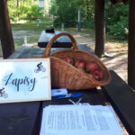 Ponad stu rowerzystów wyruszyło w rajd ścieżką przyrodniczo-historyczną - Polskie Radio Rzeszów