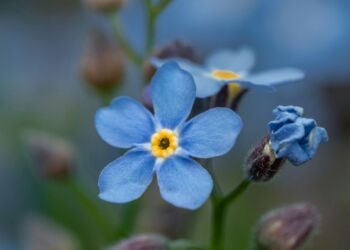 25 maja – Międzynarodowy Dzień Dziecka Zaginionego
