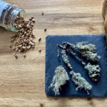 O właściwościach leczniczych ziół i innych roślin kwitnących w maju 3 - Polskie Radio Rzeszów O właściwościach leczniczych ziół i innych roślin kwitnących w maju - Polskie Radio Rzeszów