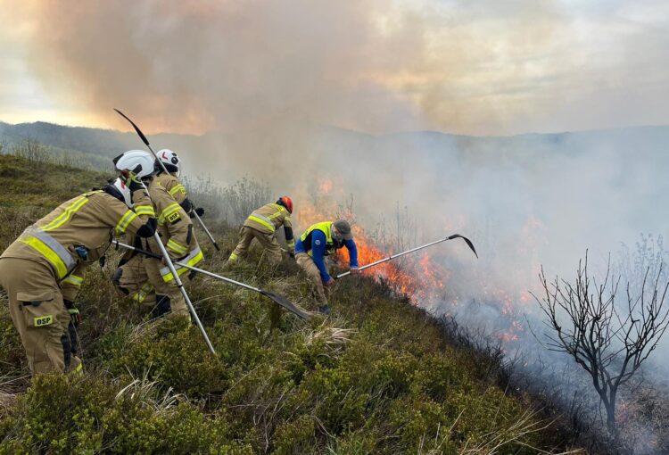 Pożar w Bieszczadach, rejon Krzemienia (aktualizacja, zdjęcia)
