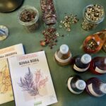 O właściwościach leczniczych ziół i innych roślin kwitnących w maju 4 - Polskie Radio Rzeszów O właściwościach leczniczych ziół i innych roślin kwitnących w maju - Polskie Radio Rzeszów