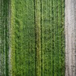 Dni otwarte Funduszy Europejskich w Kolbuszowej (galeria zdjęć) - Polskie Radio Rzeszów