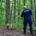 Szukali zaginionego 46-latka. W odnalezieniu pomógł pies - Polskie Radio Rzeszów