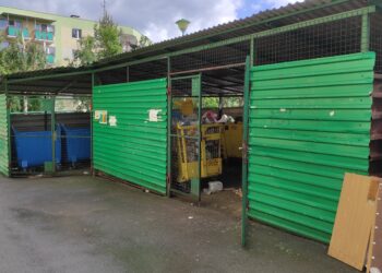 Szczury zadomowiły się na&nbsp;osiedlu Krakowska-Południe w&nbsp;Rzeszowie