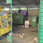 Szczury zadomowiły się na osiedlu Krakowska-Południe w Rzeszowie 2 - Polskie Radio Rzeszów Szczury zadomowiły się na osiedlu Krakowska-Południe w Rzeszowie - Polskie Radio Rzeszów