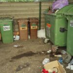 Szczury zadomowiły się na osiedlu Krakowska-Południe w Rzeszowie 3 - Polskie Radio Rzeszów Szczury zadomowiły się na osiedlu Krakowska-Południe w Rzeszowie - Polskie Radio Rzeszów