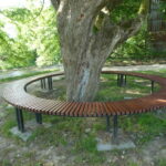 Bulwar dukielski coraz piękniejszy - Polskie Radio Rzeszów