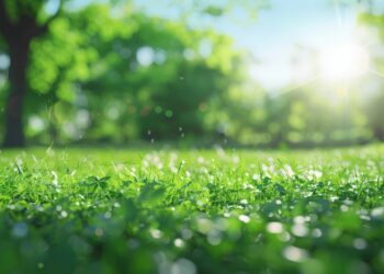 Naukowcy sprawdzają, czy do Polski dotarły duże, groźne kleszcze Hyalomma