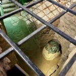 Specjalna audycja w Noc Muzeów - Polskie Radio Rzeszów