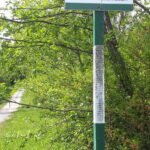 Remont kamiennej kapliczki w Polanach Surowicznych, nieistniejącej wsi łemkowskiej - Polskie Radio Rzeszów