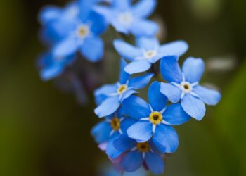 25 maja – Międzynarodowy Dzień Dziecka Zaginionego