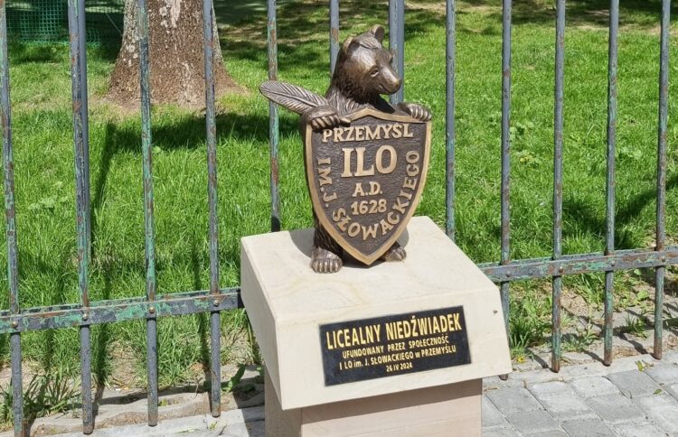 Trzynasty miś pojawił się w Przemyślu