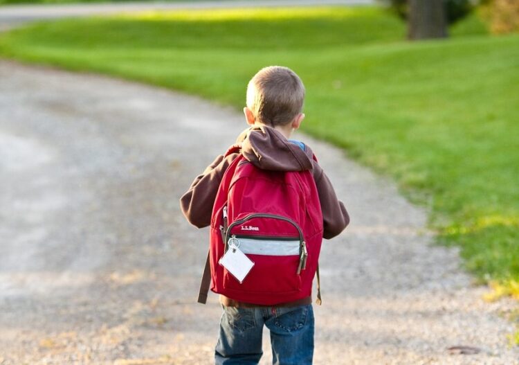 Nowacka: MEN sfinansuje wycieczki szkolne dla uczniów i projekty edukacyjne dla przedszkoli