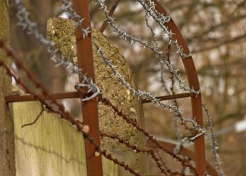 Media: Migranci przedostają się do&nbsp;Polski i&nbsp;publikują nagrania, jak tego dokonali