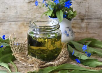 Rośliny zielarskie i&nbsp;kosmetyki naturalne. Konferencja w&nbsp;Krośnie