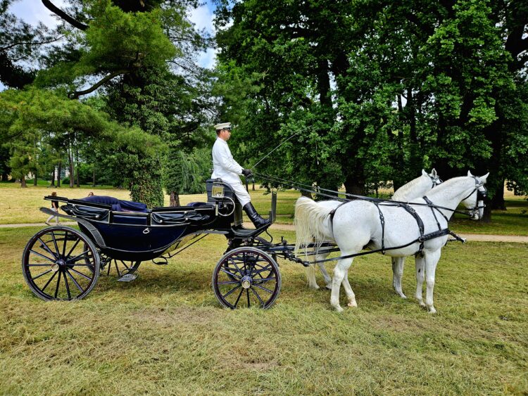 Powozem po parku w Łańcucie