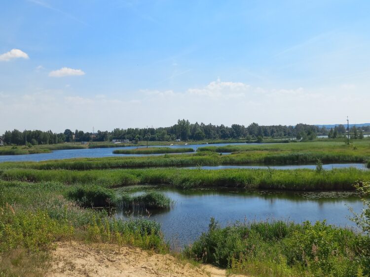 Mieszkańcy Lipia nie chcą farmy fotowoltaicznej
