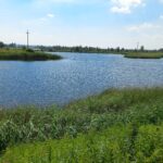 Mieszkańcy Lipia nie chcą farmy fotowoltaicznej 3 - Polskie Radio Rzeszów Mieszkańcy Lipia nie chcą farmy fotowoltaicznej - Polskie Radio Rzeszów