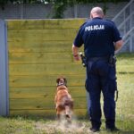 Szkolenie czworonożnych funkcjonariuszy (zdjęcia) - Polskie Radio Rzeszów