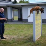 Szkolenie czworonożnych funkcjonariuszy (zdjęcia) - Polskie Radio Rzeszów