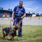 Szkolenie czworonożnych funkcjonariuszy (zdjęcia) - Polskie Radio Rzeszów