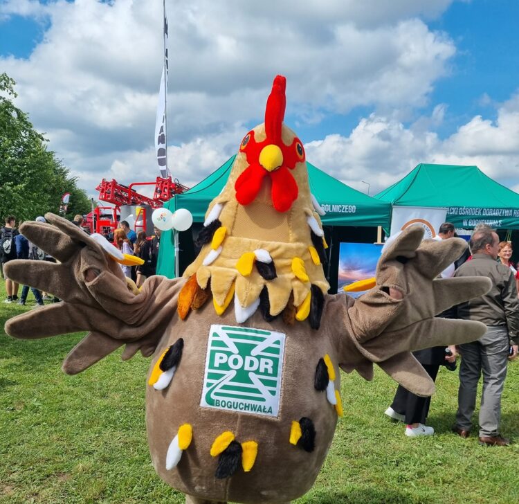 Trwają Krajowe Dni Pola