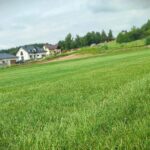 Piłka nożna. Prace przy nowym boisku Heiro Rzeszów 5 - Polskie Radio Rzeszów Piłka nożna. Prace przy nowym boisku Heiro Rzeszów - Polskie Radio Rzeszów