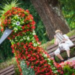 Z Radiem Biwak w Rymanowie-Zdroju (fotogaleria) 2 - Polskie Radio Rzeszów Z Radiem Biwak w Rymanowie-Zdroju (fotogaleria) - Polskie Radio Rzeszów