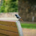 Radio Biwak w Bardejowie (fotogaleria) - Polskie Radio Rzeszów