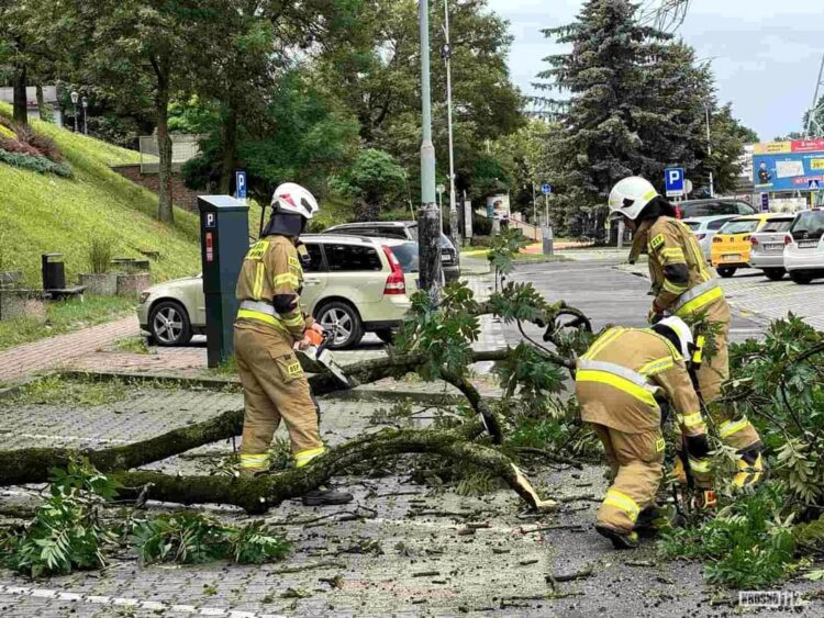 Pomoc finansowa dla poszkodowanych przez gradobicie