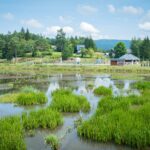 Z Radiem Biwak "U źródeł" w Krempnej (fotogaleria) 18 - Polskie Radio Rzeszów Z Radiem Biwak "U źródeł" w Krempnej (fotogaleria) - Polskie Radio Rzeszów