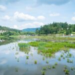 Z Radiem Biwak "U źródeł" w Krempnej (fotogaleria) 17 - Polskie Radio Rzeszów Z Radiem Biwak "U źródeł" w Krempnej (fotogaleria) - Polskie Radio Rzeszów