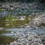 Z Radiem Biwak "U źródeł" w Krempnej (fotogaleria) 47 - Polskie Radio Rzeszów Z Radiem Biwak "U źródeł" w Krempnej (fotogaleria) - Polskie Radio Rzeszów