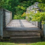 Z Radiem Biwak "U źródeł" w Krempnej (fotogaleria) 34 - Polskie Radio Rzeszów Z Radiem Biwak "U źródeł" w Krempnej (fotogaleria) - Polskie Radio Rzeszów