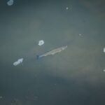 Z Radiem Biwak "U źródeł" w Krempnej (fotogaleria) 32 - Polskie Radio Rzeszów Z Radiem Biwak "U źródeł" w Krempnej (fotogaleria) - Polskie Radio Rzeszów