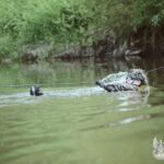 Szkolenie kompanii saperów Podkarpackiej Brygady Obrony Terytorialnej - Polskie Radio Rzeszów