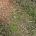 Nadleśnictwo Leżajsk szacuje straty po huraganie 2 - Polskie Radio Rzeszów Nadleśnictwo Leżajsk szacuje straty po huraganie - Polskie Radio Rzeszów