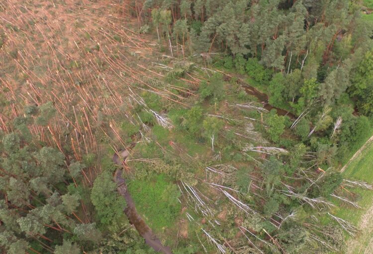 Nadleśnictwo Leżajsk szacuje straty po huraganie