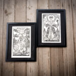 Festiwal pod hasłem „Kraina Roztocze. Weź drugi oddech” 3 - Polskie Radio Rzeszów Festiwal pod hasłem „Kraina Roztocze. Weź drugi oddech” - Polskie Radio Rzeszów