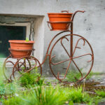 Radio Biwak z Alei Pod Kasztanami (fotogaleria) 35 - Polskie Radio Rzeszów Radio Biwak z Alei Pod Kasztanami (fotogaleria) - Polskie Radio Rzeszów