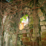 Radio Biwak z Alei Pod Kasztanami (fotogaleria) 56 - Polskie Radio Rzeszów Radio Biwak z Alei Pod Kasztanami (fotogaleria) - Polskie Radio Rzeszów