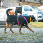 Przemyśl znalazł się na wakacyjnej trasie Radia Biwak (fotogaleria) - Polskie Radio Rzeszów