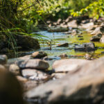 Radio Biwak nadawało dziś z Olchowca (fotogaleria) 48 - Polskie Radio Rzeszów Radio Biwak nadawało dziś z Olchowca (fotogaleria) - Polskie Radio Rzeszów