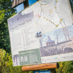 Radio Biwak nadawało dziś z Olchowca (fotogaleria) 28 - Polskie Radio Rzeszów Radio Biwak nadawało dziś z Olchowca (fotogaleria) - Polskie Radio Rzeszów