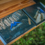 Radio Biwak z Ekomuzeum Na Wypale (fotogaleria) 6 - Polskie Radio Rzeszów Radio Biwak z Ekomuzeum Na Wypale (fotogaleria) - Polskie Radio Rzeszów