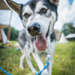 Radio Biwak z Ekomuzeum Na Wypale (fotogaleria) 38 - Polskie Radio Rzeszów Radio Biwak z Ekomuzeum Na Wypale (fotogaleria) - Polskie Radio Rzeszów