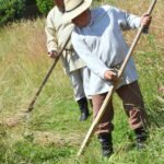 Sianokosy w Będziemyślu, zajęcia etnograficzne dla młodzieży (fotogaleria) - Polskie Radio Rzeszów